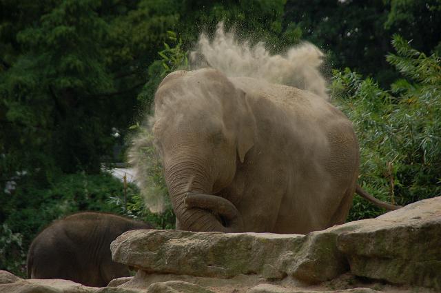 dierentuin emmen_0887